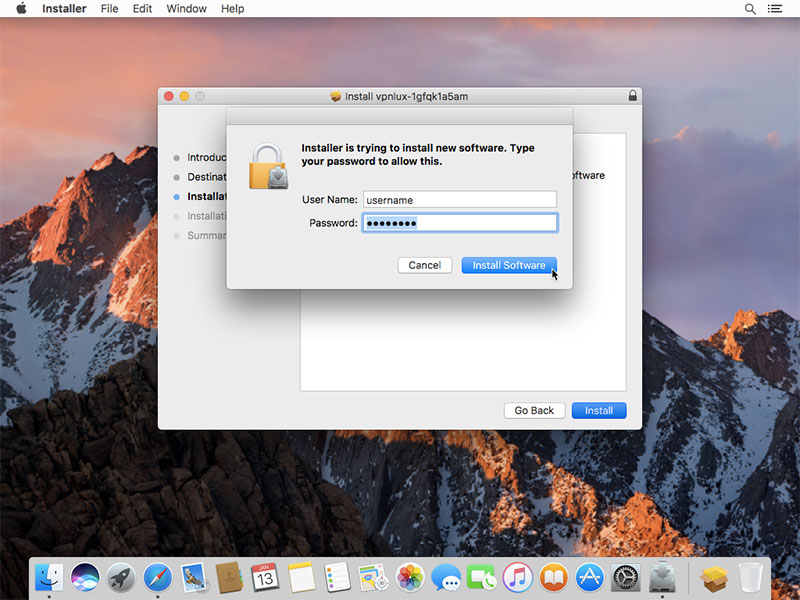 Enter your Mac OS password and click Install Software.